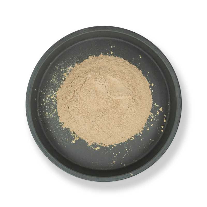 Aloe Vera 200:1, polvere, BIO, 100 g