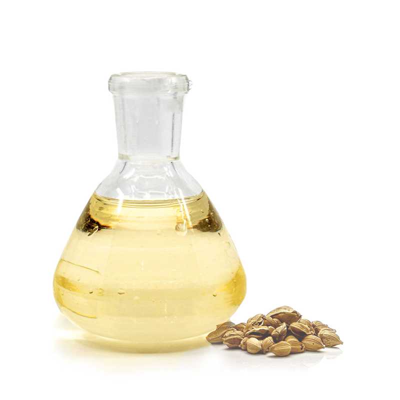 Olio di argan deodorato, BIO, 1 l