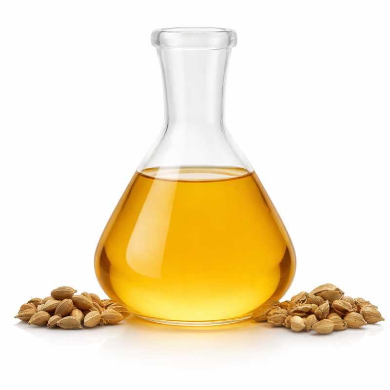 Olio di argan, BIO, spremuto a freddo, leggermente tostato, 1 l