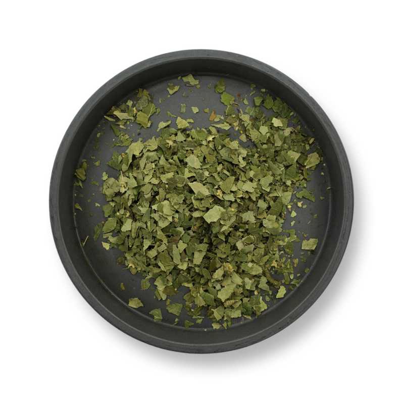 Pianta secca, betulla verrucosa, foglia, 50 g