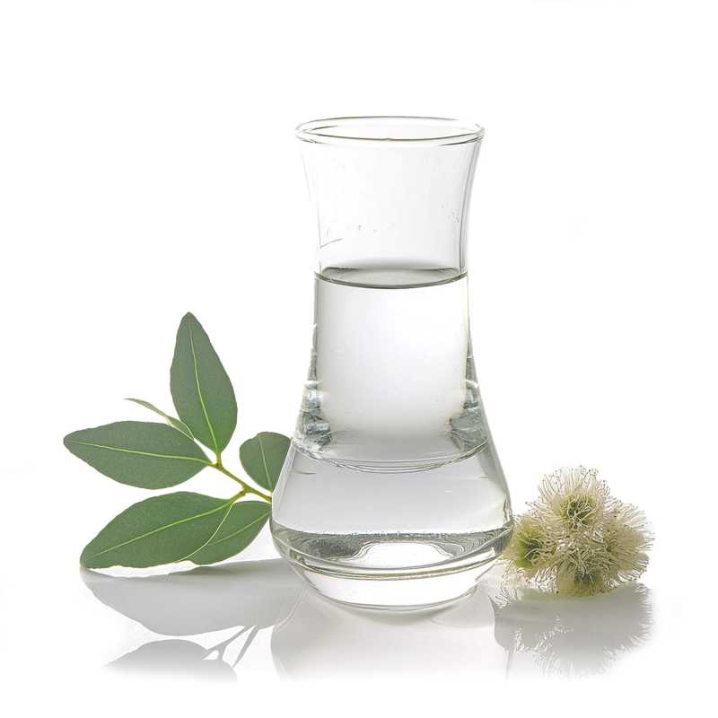 Olio essenziale, Eucalyptus Smithii, 10 ml