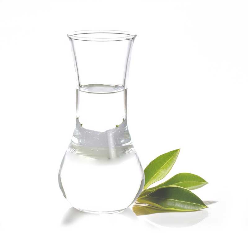 Olio essenziale, canfora bianca, 10 ml