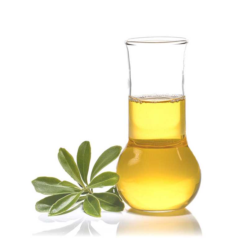 Olio essenziale, ravensara, 10 ml