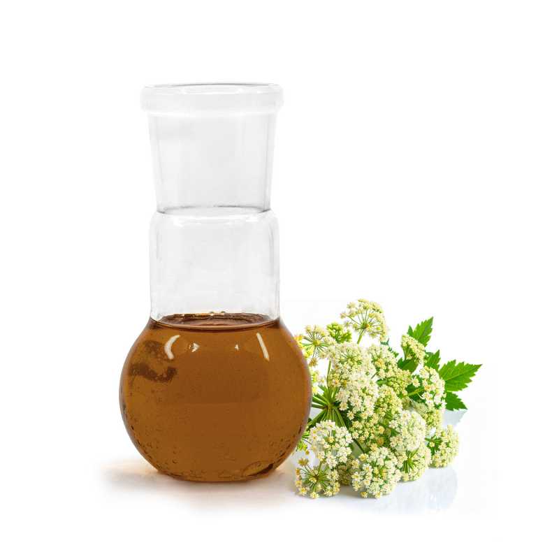 Olio essenziale, valeriana, 100 ml