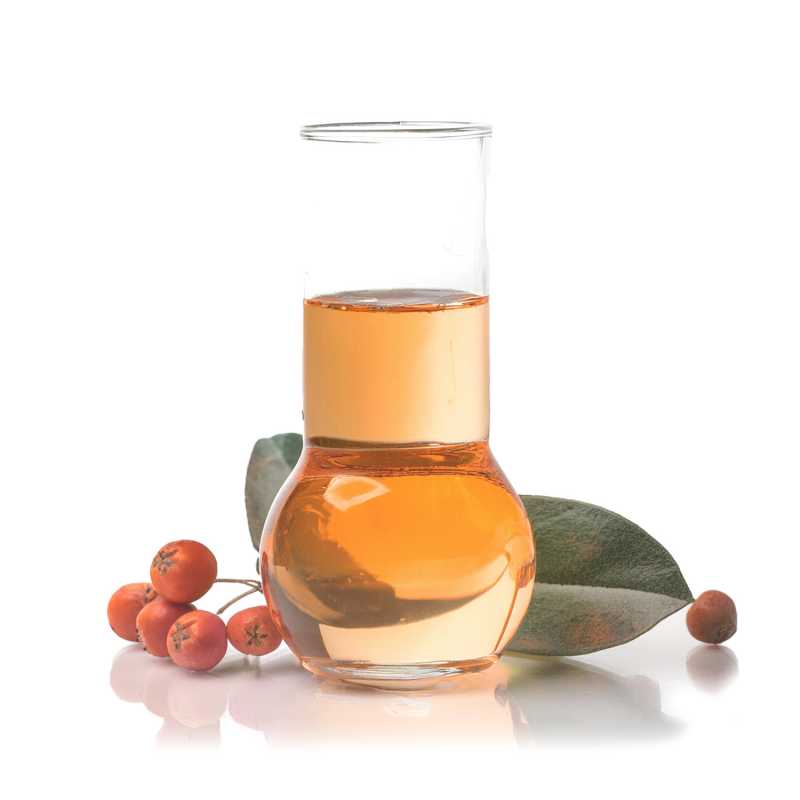 Olio essenziale, Wintergreen (Gaultheria), 100 ml