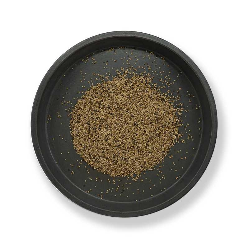 Semi di fragola, 50 g