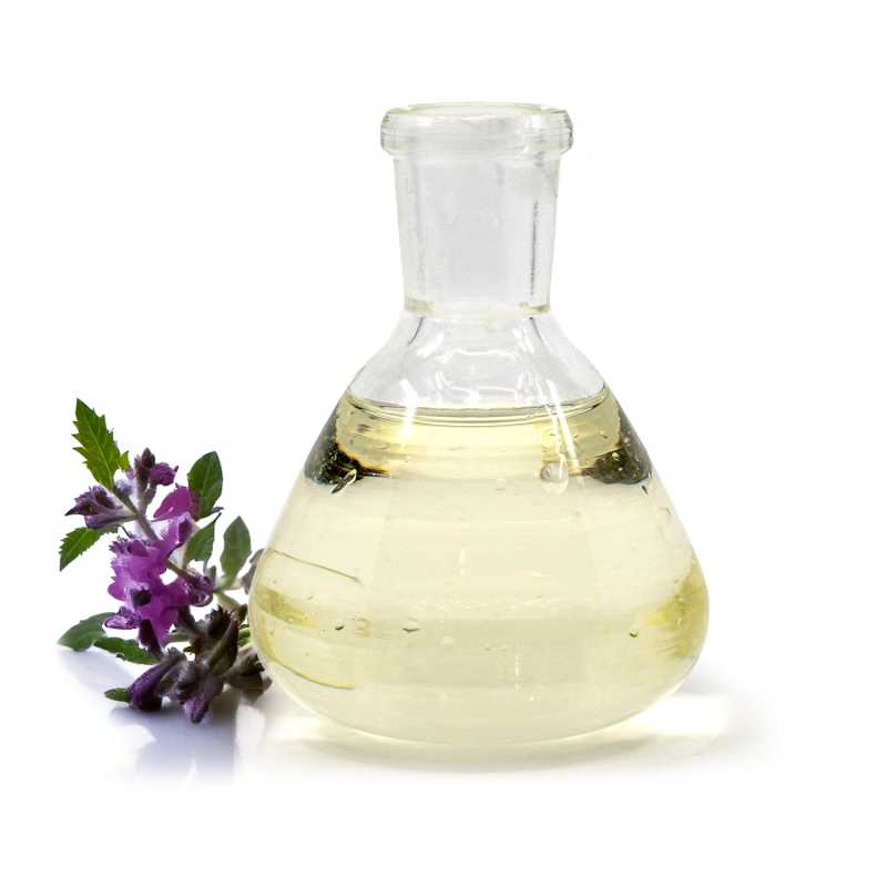 Macerato, consolida in olio di girasole, 5 l