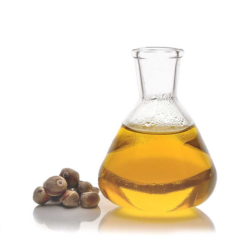 Olio, ricino, BIO, 1 l