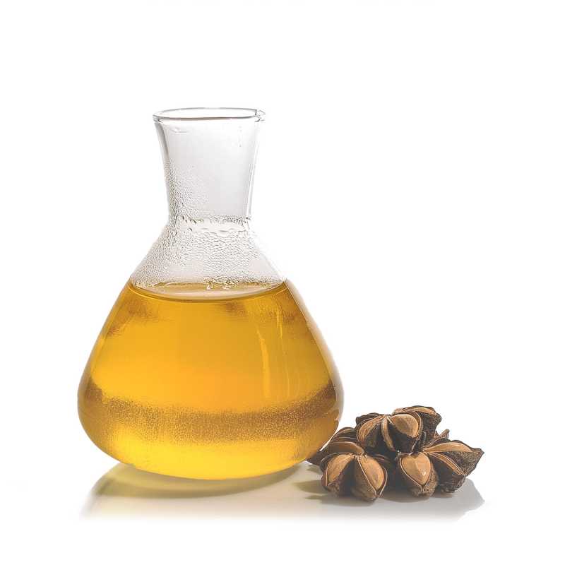 Olio, Sacha Inchi, BIO, 100 ml