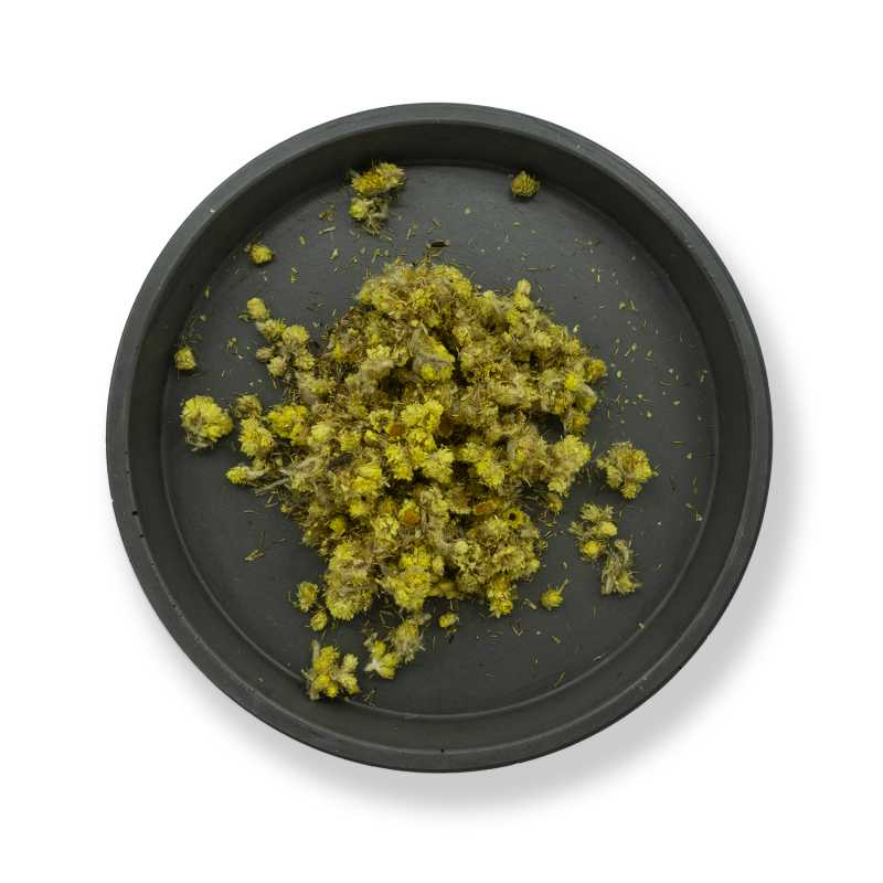 Elicriso, fiore secco, 50 g