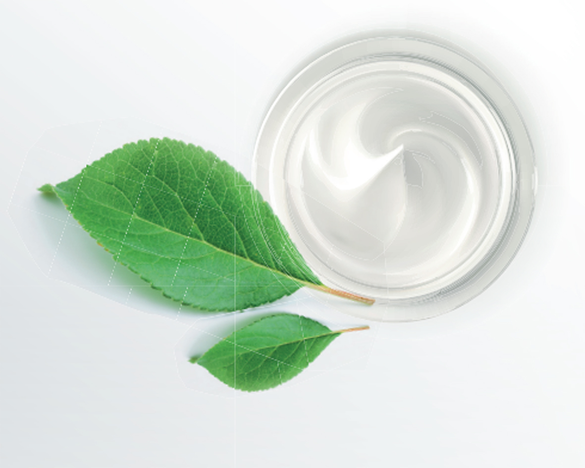 Vaselina Vegeline a base di ingredienti vegetali naturali in un contenitore rotondo con foglie su sfondo bianco.